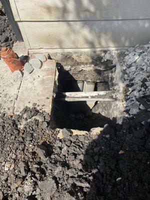 Proline Foundation Repair