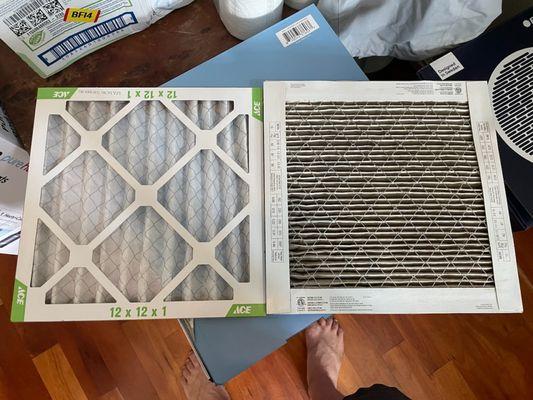 Bluebird Day Vacation Rentals