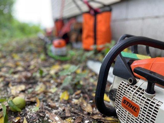 Sweet Carolina Tree Care