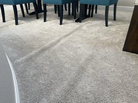 Rick's Family Carpet Care