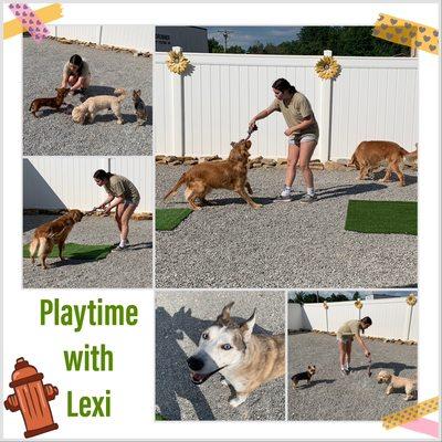 Playtime with Lexi with our boarding buddies