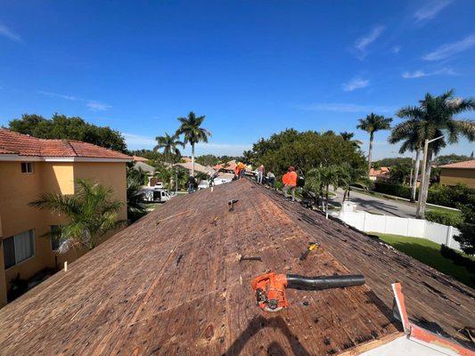 Palma Roofing Experts