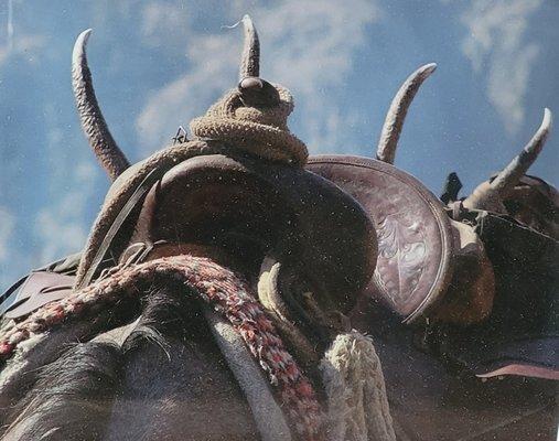 Said Creek Outfitters