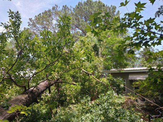 One Source Tree Service & Landscape