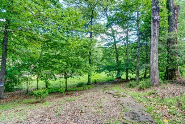 AMFM Mental Health Treatment