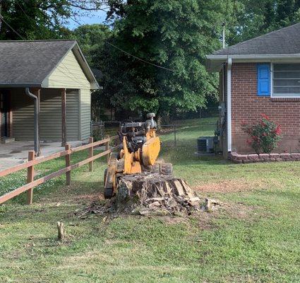 GreenLife Stump Grinders