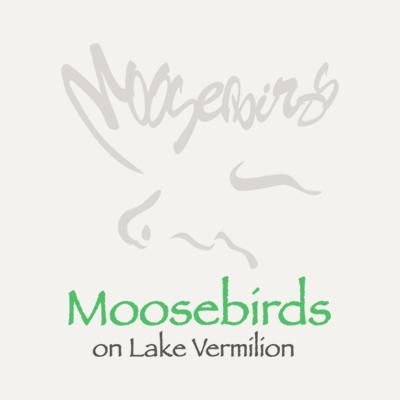 Moosebirds