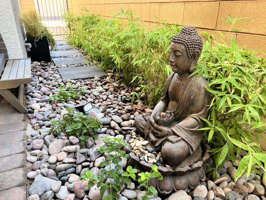 DeSantiago Landscape Services