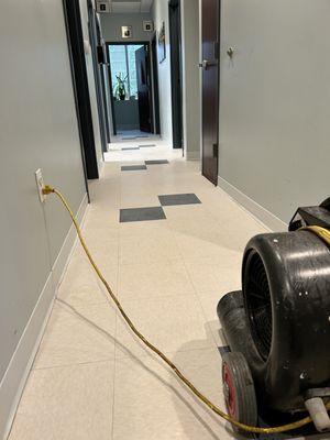 Sunbeam Cleaning Services