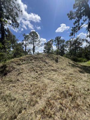 Swfl Land Management