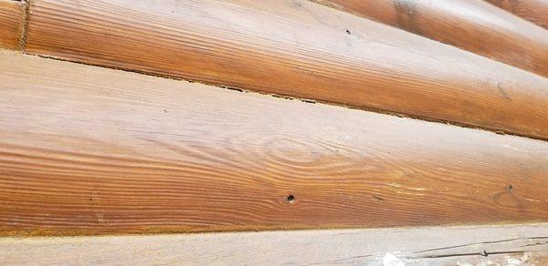Linden Painting and Loghome Restoration