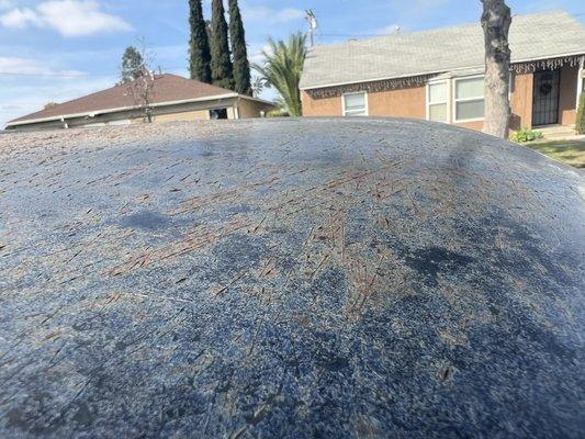 E & A Auto Body & Paint Shop