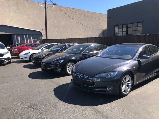 Some of their many Teslas at Electro Auto