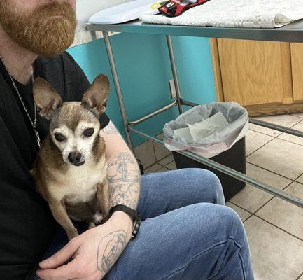 Alma Animal School Animal Hospital