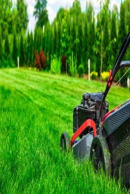 Plymouth Lawn & Garden