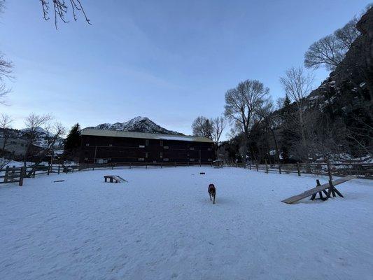 Ouray Dog Park