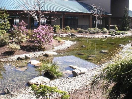 Road to Resilience Wellness