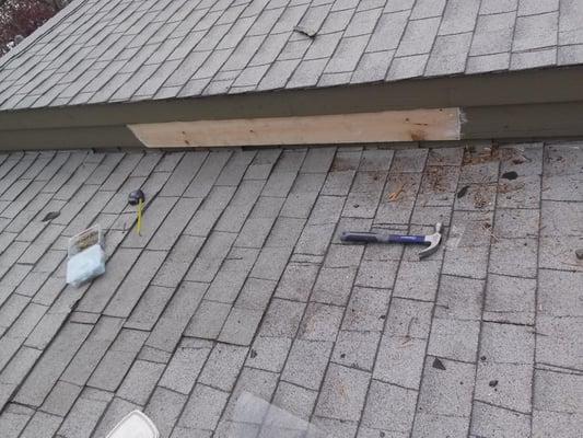 AcEco Extermination & Insulation