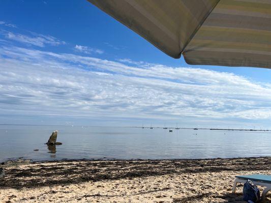 Surfside Hotel and Suites