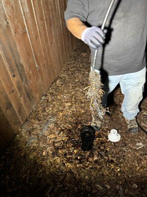 Rooter Service
Pulled Back and eliminated an excessive amount of root intrusion in main sewer line