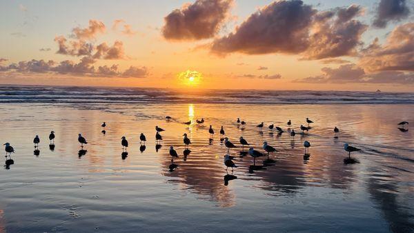 Inn at Haystack Rock