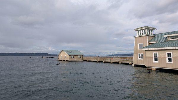 From the outside - the little building out on the water is where most of the aquarium displays are.
