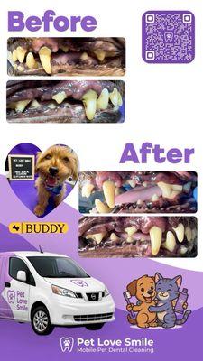 Pet Love Smile