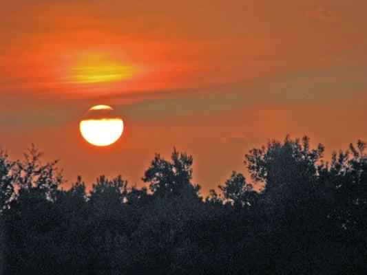 Horizon Realty International