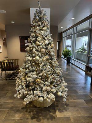 Cambria Hotel Downtown Asheville