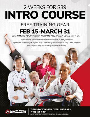 Tiger-Rock of North Overland Park