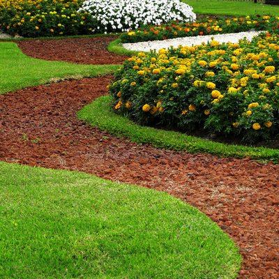 Lawn Care Services in Virginia Beach, VA