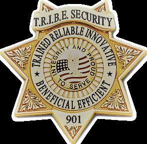 T.R.I.B.E. Security Service