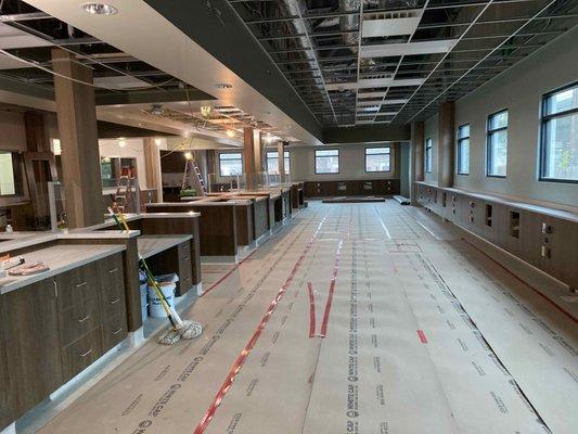 Construction Generalist