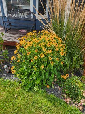 Espinosa Yard Services and Snow Removal