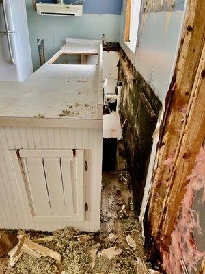 Mold Masters - North - Mold Remediation & Testing Experts