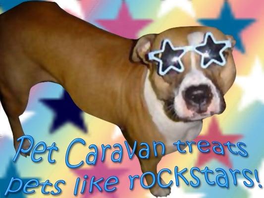 Pet Caravan