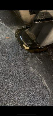 True Clean Carpet Cleaning