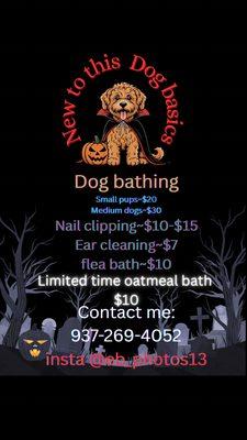 New To This Dog Service