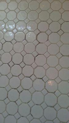 BEFORE cleaning
Ceramic tile.
