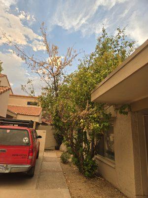 Heywood Community Management