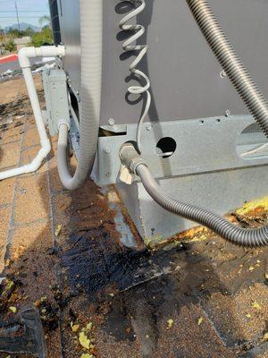 Georgies Handy Man Services