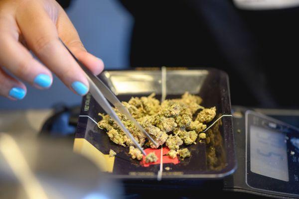 Medusa Farms Dispensary