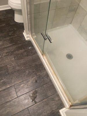 Williams & Son Detailing