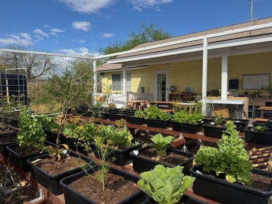 Heritage Montessori School