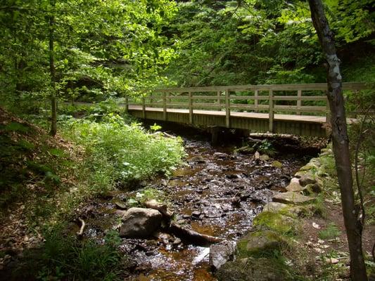 Discreet Confidential Psychological Services L.L.C.