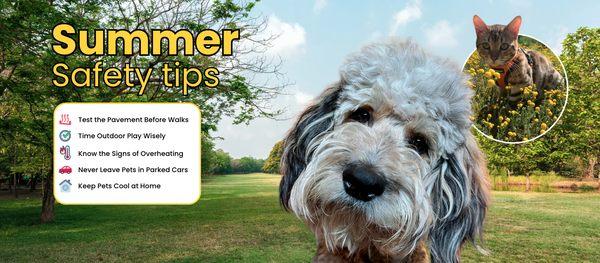 Eau Claire Animal Hospital