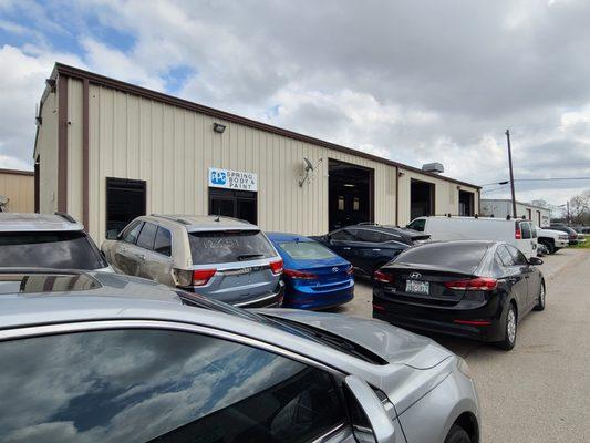 Spring Body and Paint