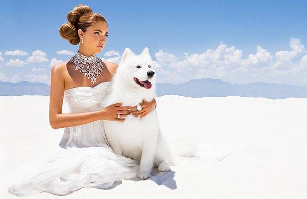 White Cross Productions