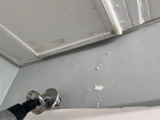 Dripping water into he shower. Evidence that it was an ongoing problem.