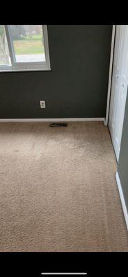 Professional Rug Cleaners